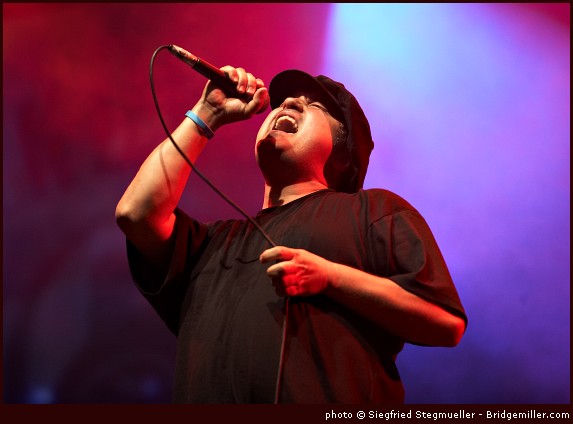 &nbsp;&copy; Siegfried STEGMUELLER&nbsp;